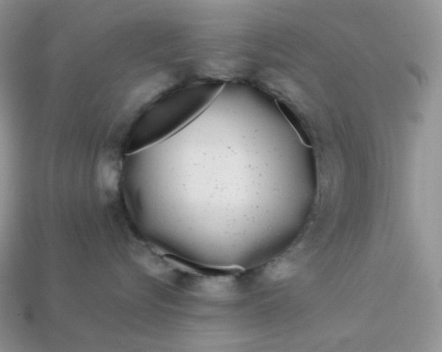 X0000113030576200909101900