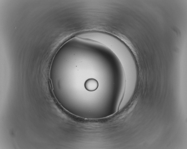 X0000113030577200909101900