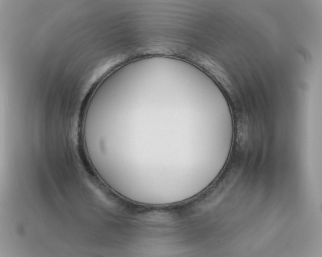 X0000113030578200909101859