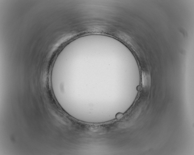 X0000113030579200909101859