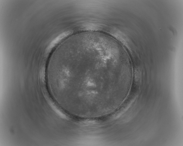 X0000113030581200909101859