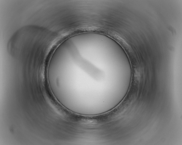 X0000113030582200909101859