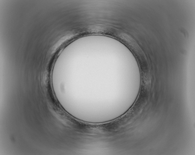 X0000113030583200909101859