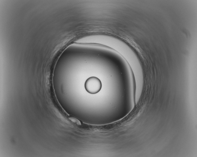 X0000113030585200909101859