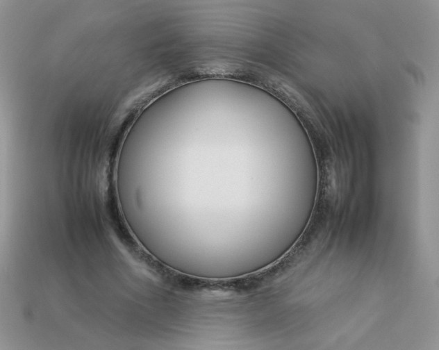 X0000113030586200909101859