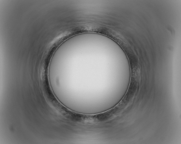 X0000113030587200909101859