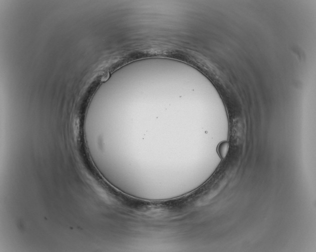 X0000113030589200909101859