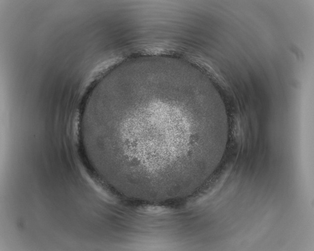 X0000113030590200909101859