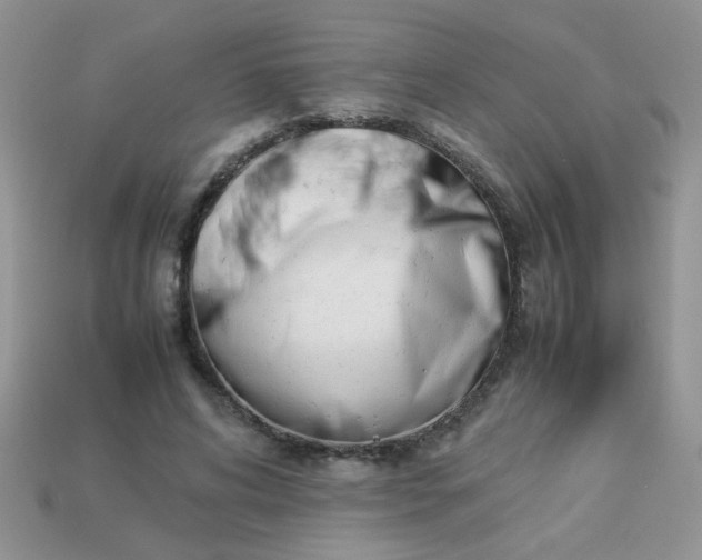 X0000113030592200909101859