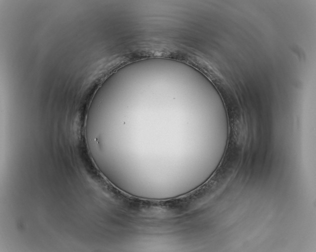 X0000113030594200909101859