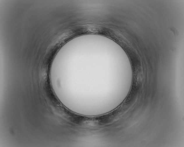 X0000113030595200909101859