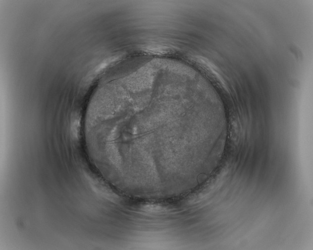 X0000113030596200909101859