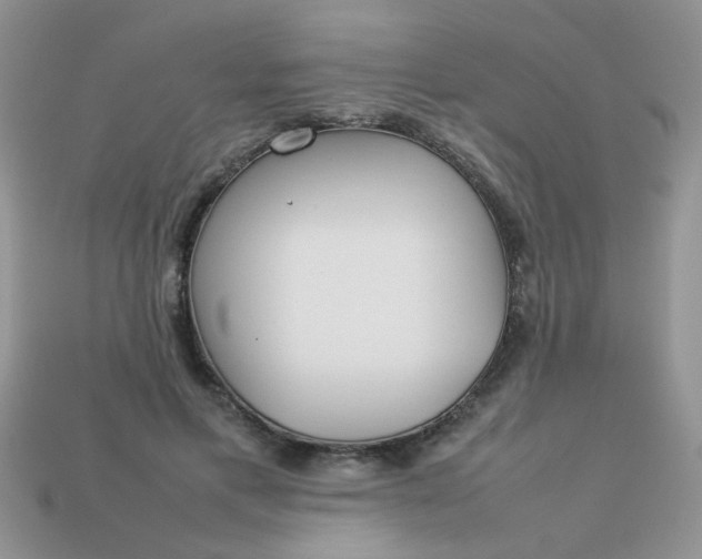 X0000113030597200909101859