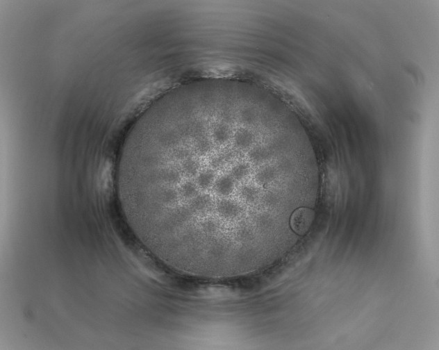 X0000113030598200909101859