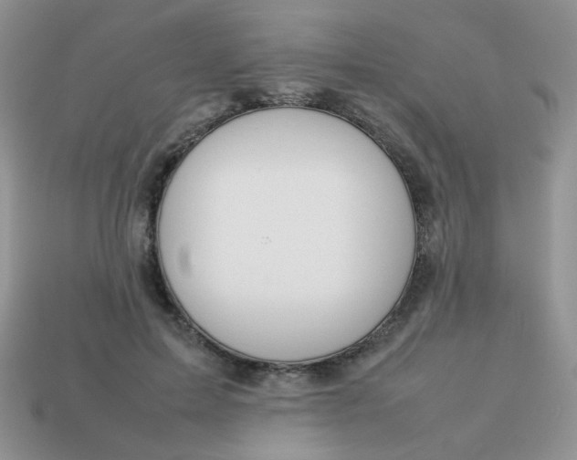 X0000113030599200909101859