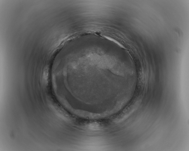 X0000113030600200909101859