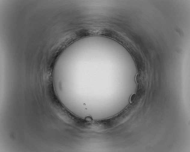 X0000113030601200909101859