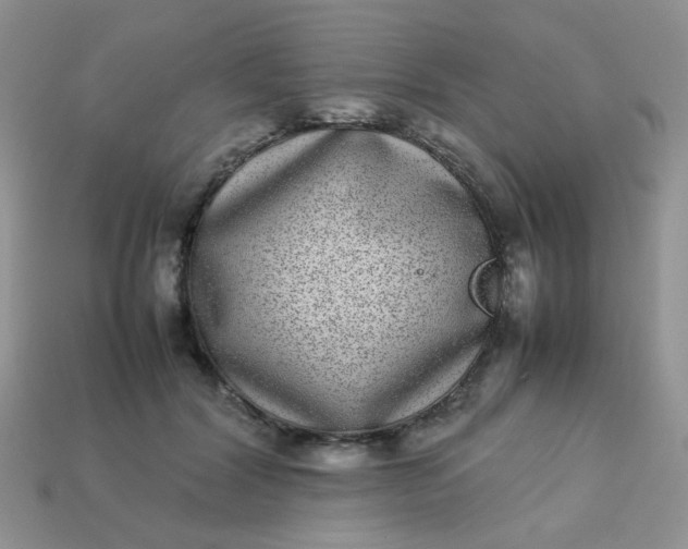 X0000113030604200909101859