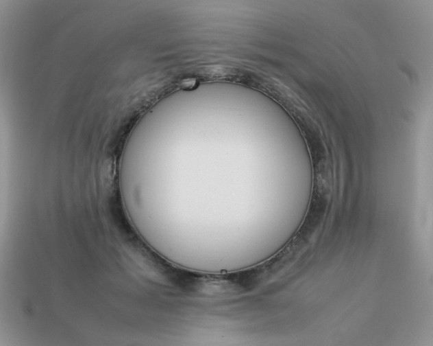 X0000113030605200909101859