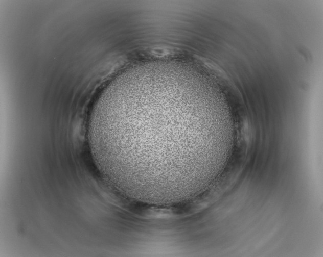 X0000113030606200909101859