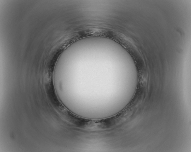 X0000113030607200909101859