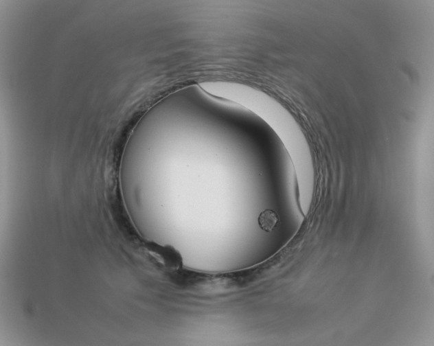 X0000113030609200909101859