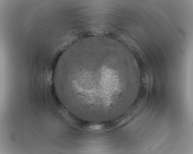 X0000113030610200909101859