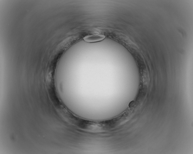 X0000113030611200909101859