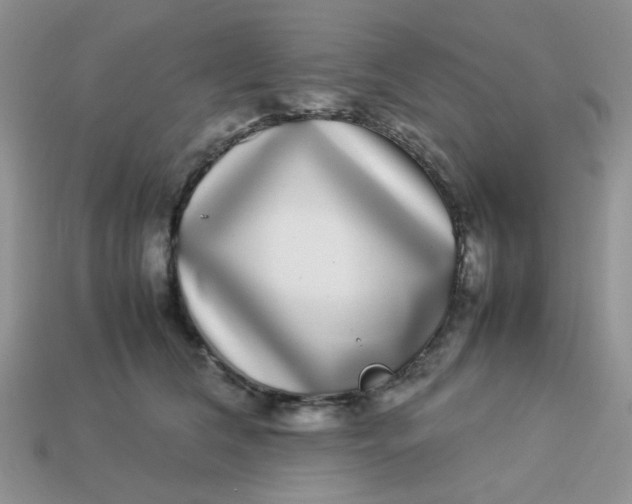 X0000113030612200909101859