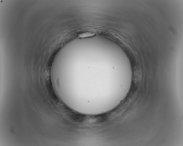 X0000113030613200909101859