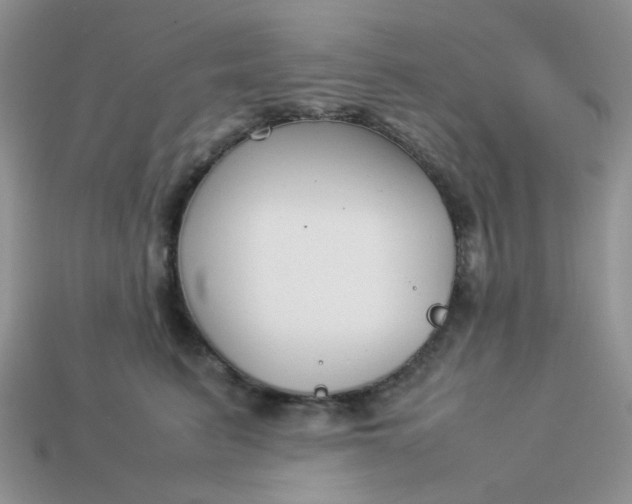 X0000113030615200909101859