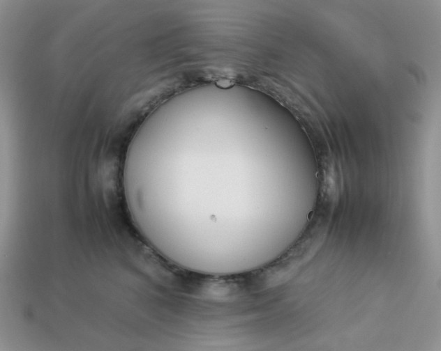 X0000113030616200909101859