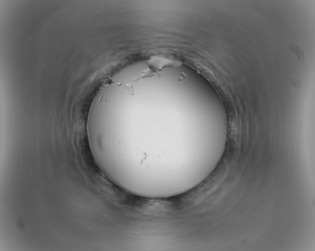 X0000113030617200909101859