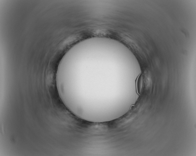 X0000113030619200909101859