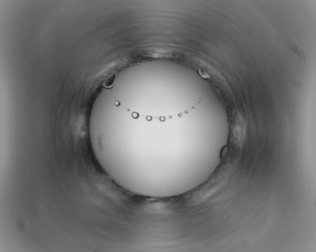 X0000113030620200909101859