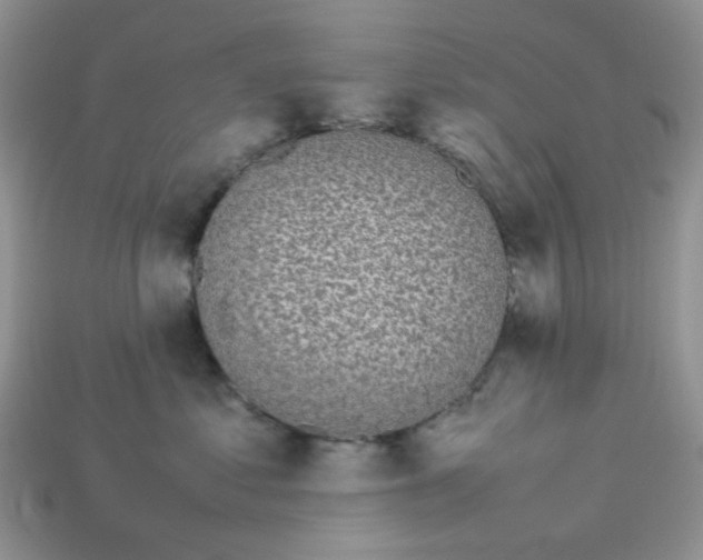 X0000113030621200909101859