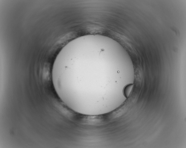 X0000113030622200909101859