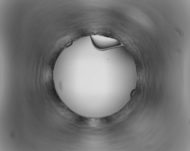 X0000113030623200909101859