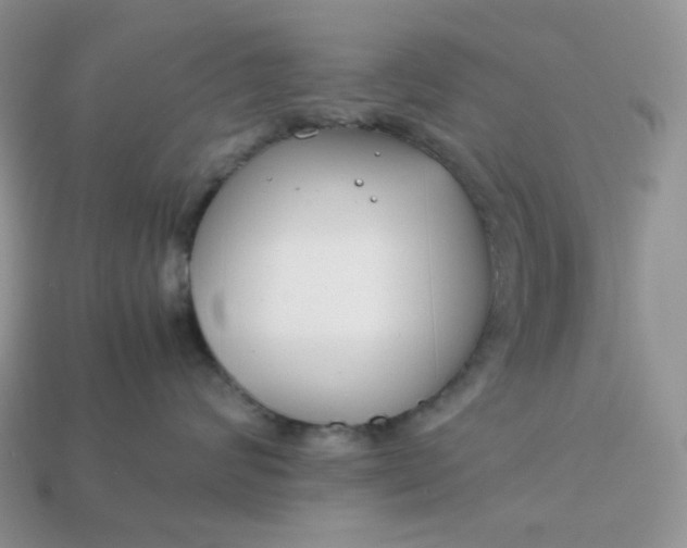 X0000113030624200909101859