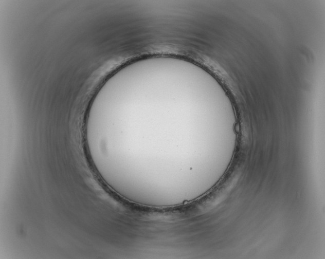 X0000113030625200909101858