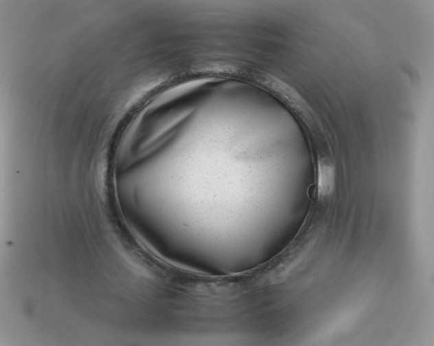 X0000113030627200909101858