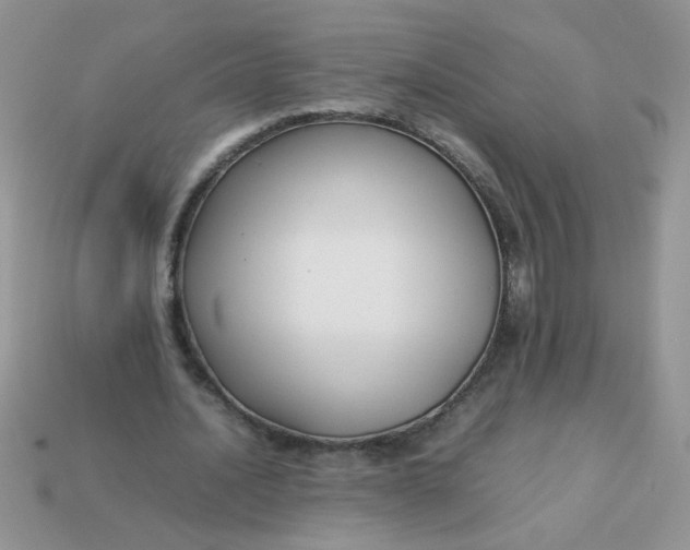 X0000113030628200909101858