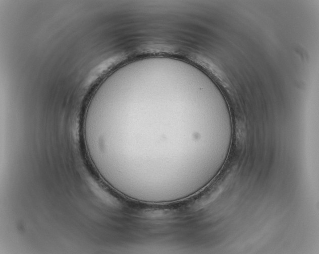 X0000113030629200909101858