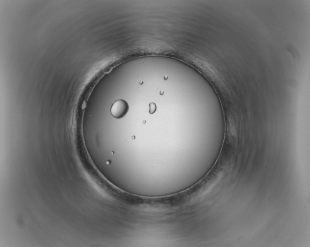 X0000113030630200909101858