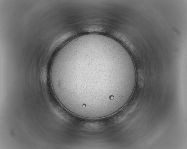 X0000113030631200909101858