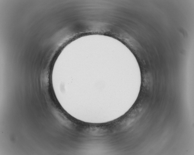 X0000113030632200909101858