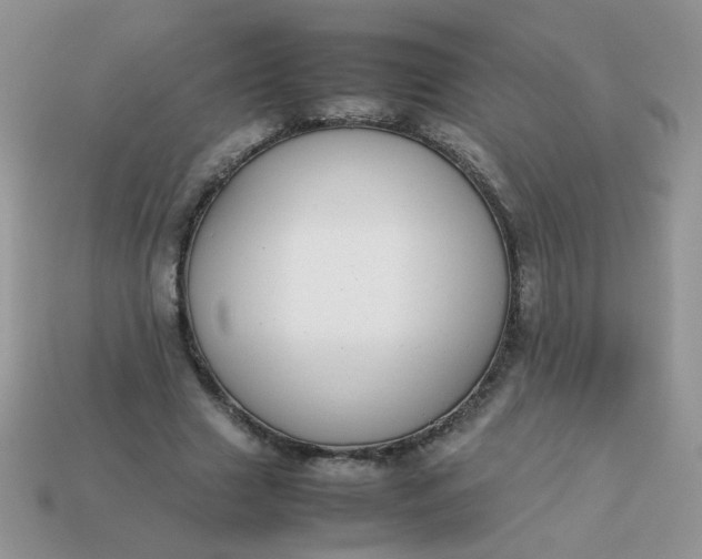 X0000113030633200909101858