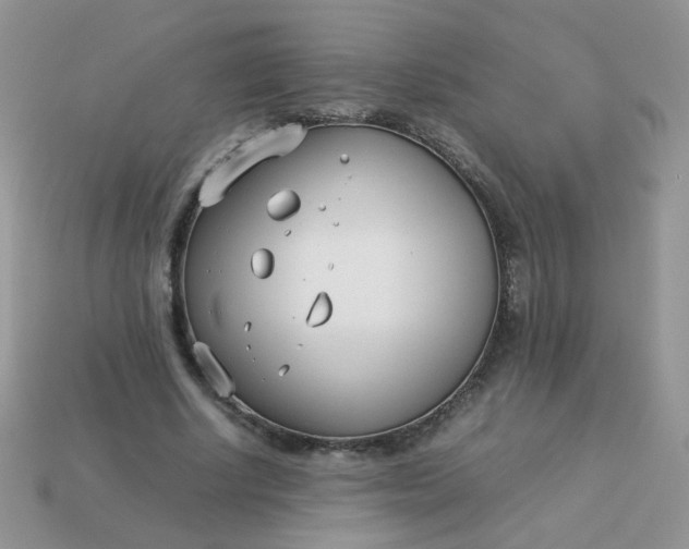 X0000113030634200909101858