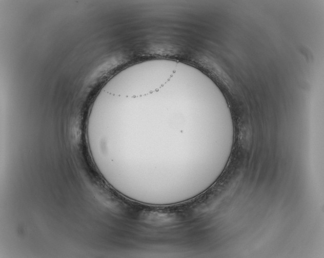 X0000113030635200909101858