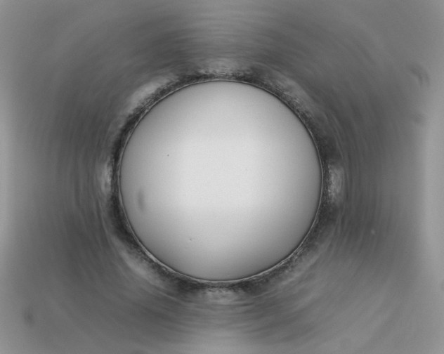 X0000113030636200909101858